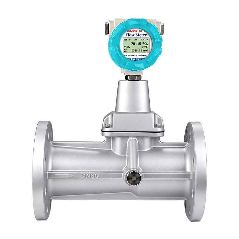 Precession Vortex Flow Meter